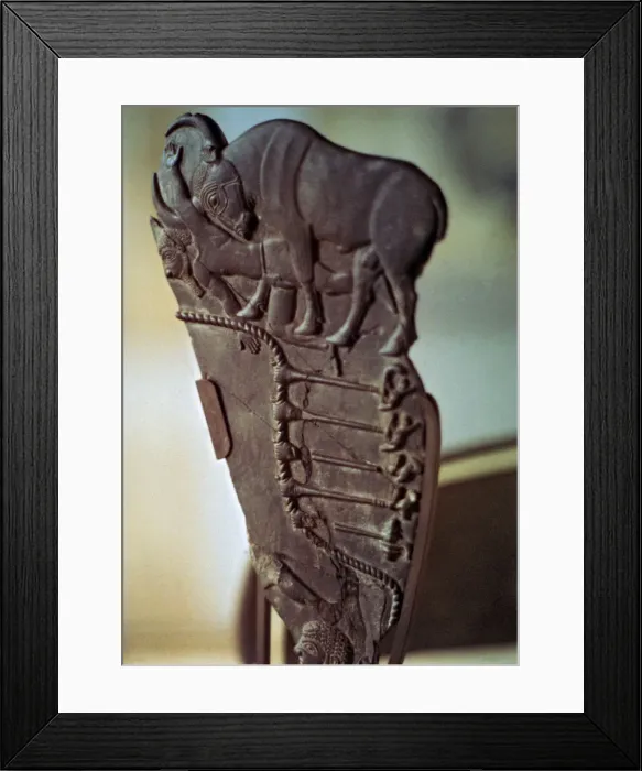 Framed Print : 2684942 Framed Print : 2684942