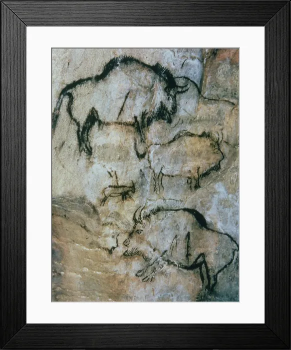 Framed Print : 2684382 Framed Print : 2684382
