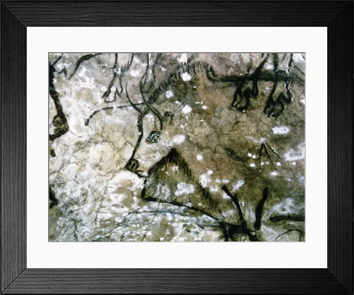 Framed Print : 2684387