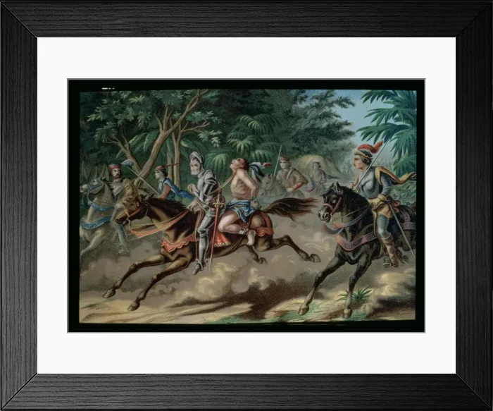 Framed Print : 2684564 Framed Print : 2684564