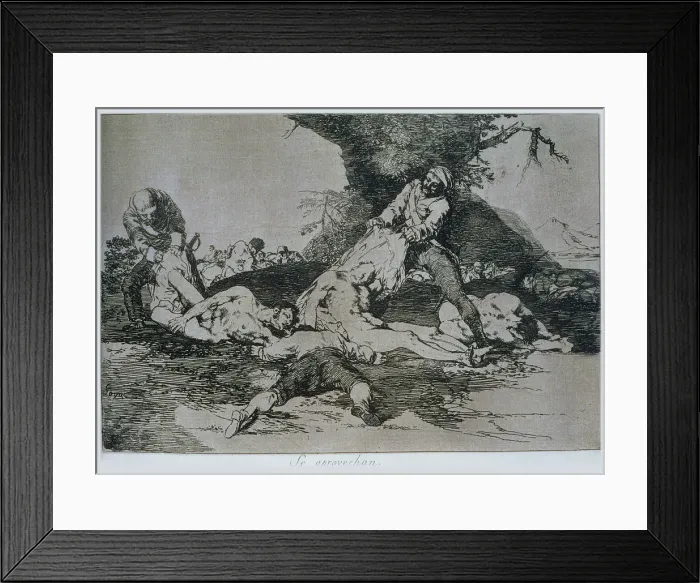Framed Print : 2684786
