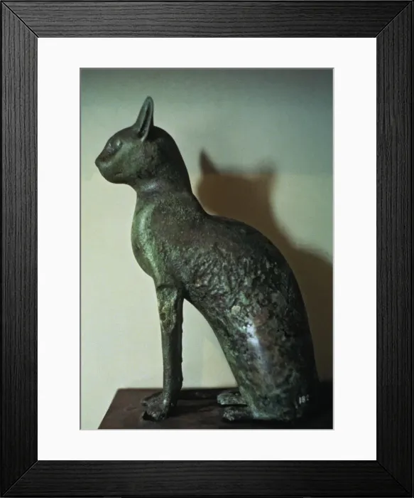 Framed Print : 2684952 Framed Print : 2684952
