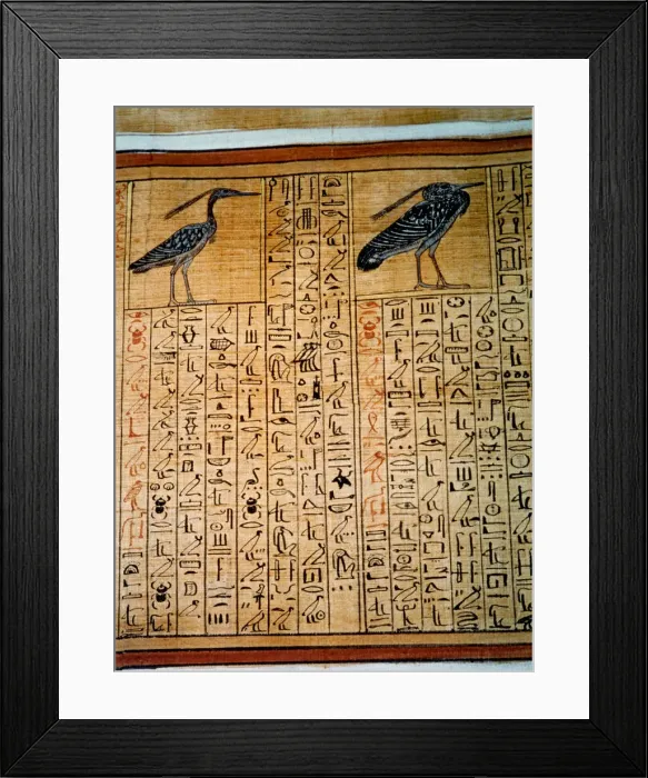Framed Print : 2684968