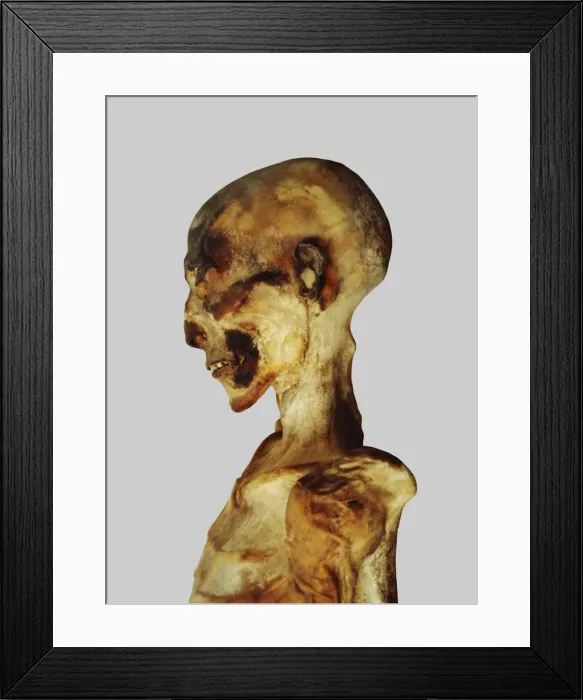 Framed Print : 2684976 Framed Print : 2684976