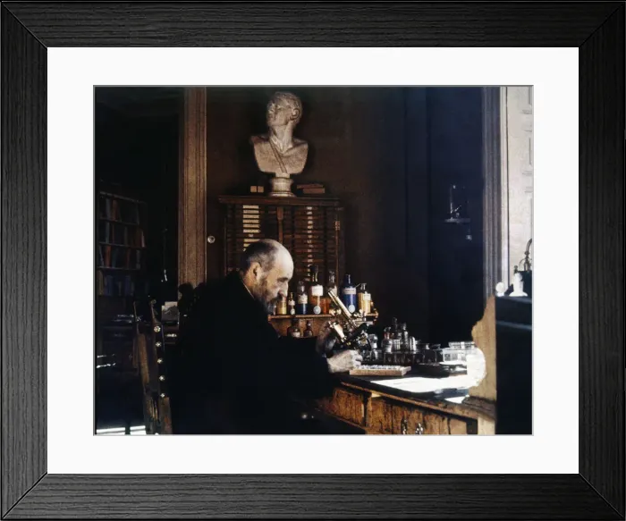 Framed Print : 2685014 Framed Print : 2685014