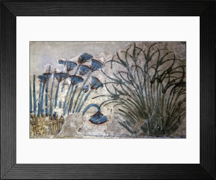 Framed Print : 2685071 Framed Print : 2685071