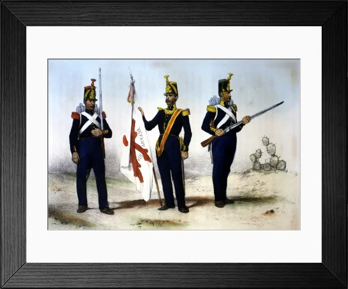 Framed Print : 2685127 Framed Print : 2685127