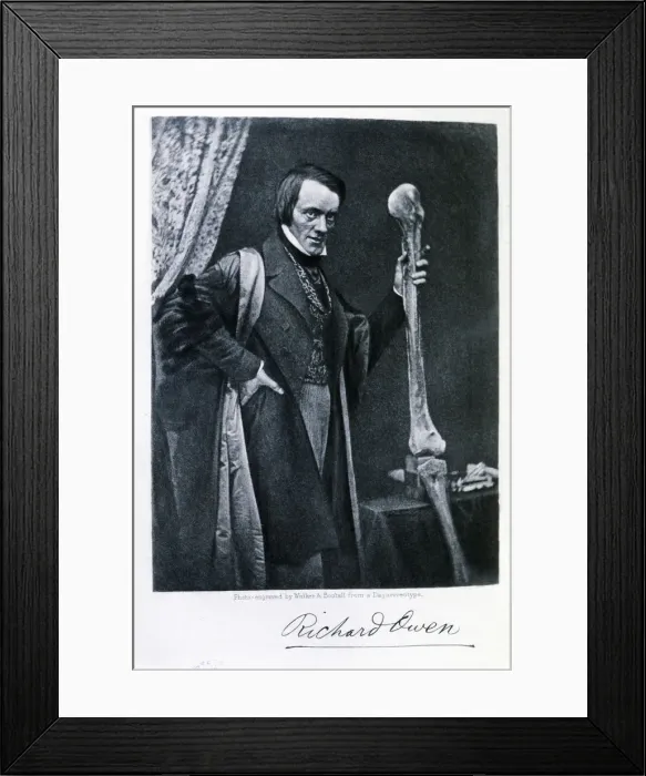 Framed Print : 2685191 Framed Print : 2685191