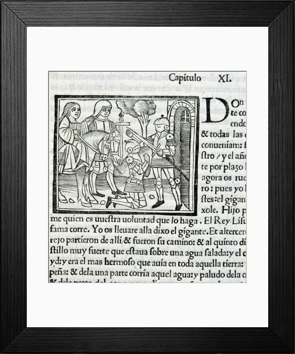 Framed Print : Amadis De Gaula Framed Print : Amadis De Gaula