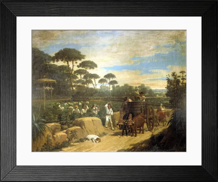 Framed Print : LA Vendimia Framed Print : LA Vendimia