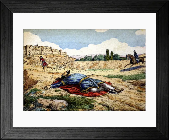 Framed Print : 2685757