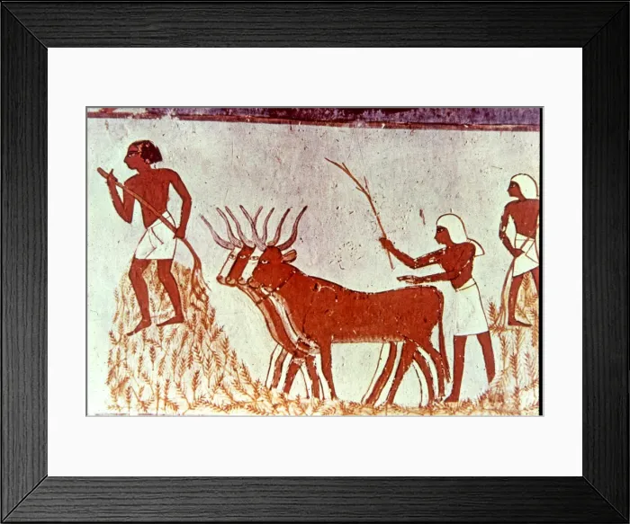 Framed Print : 2685520 Framed Print : 2685520
