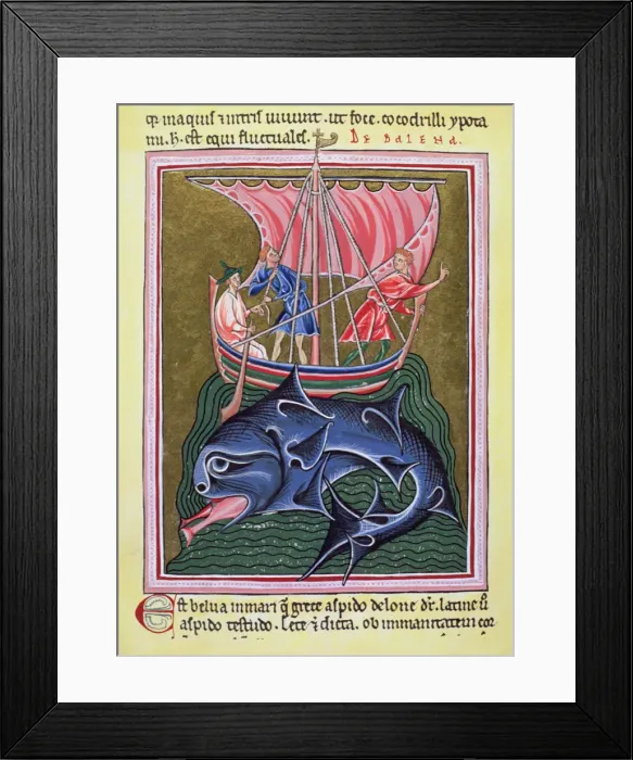 Framed Print : 2685567 Framed Print : 2685567