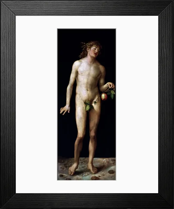 Framed Print : 2685594 Framed Print : 2685594