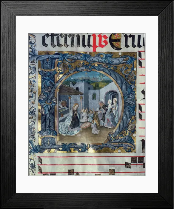 Framed Print : 2685635 Framed Print : 2685635