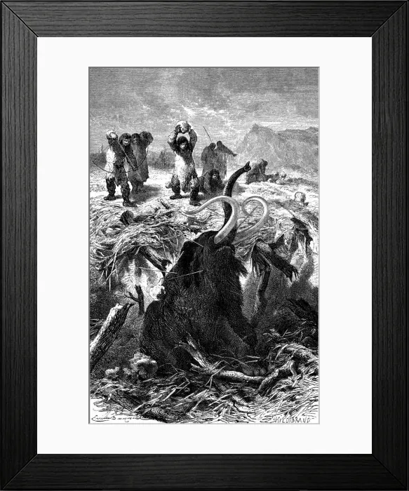 Framed Print : 2685651 Framed Print : 2685651