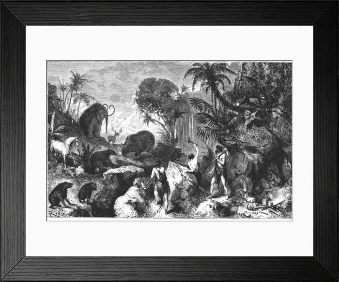 Framed Print : 2685652 Framed Print : 2685652
