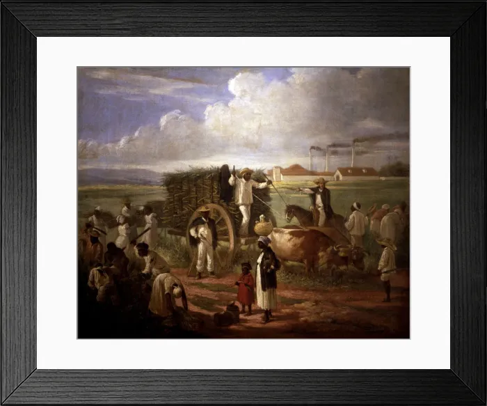 Framed Print : 2686274 Framed Print : 2686274