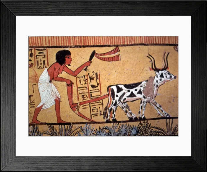 Framed Print : 2685730 Framed Print : 2685730