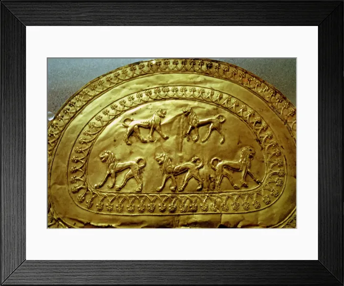 Framed Print : 2685709 Framed Print : 2685709