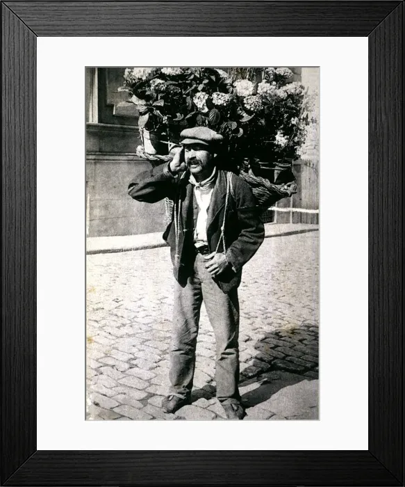 Framed Print : 2685790 Framed Print : 2685790