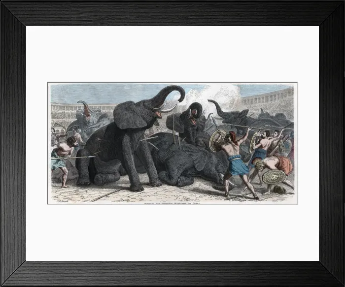 Framed Print : 2685824 Framed Print : 2685824