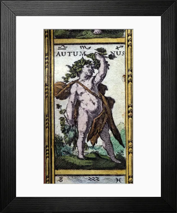 Framed Print : 2686683 Framed Print : 2686683