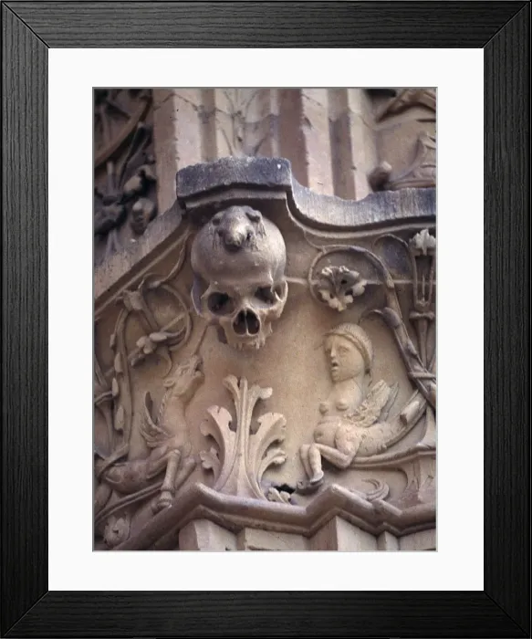 Framed Print : 2685883 Framed Print : 2685883