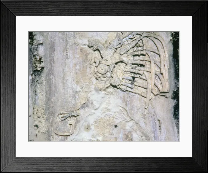 Framed Print : 2686071 Framed Print : 2686071