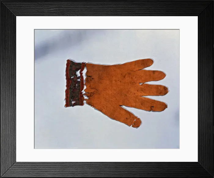 Framed Print : 2686146