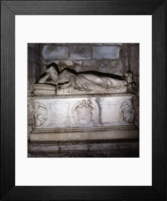 Framed Print : 2686338 Framed Print : 2686338