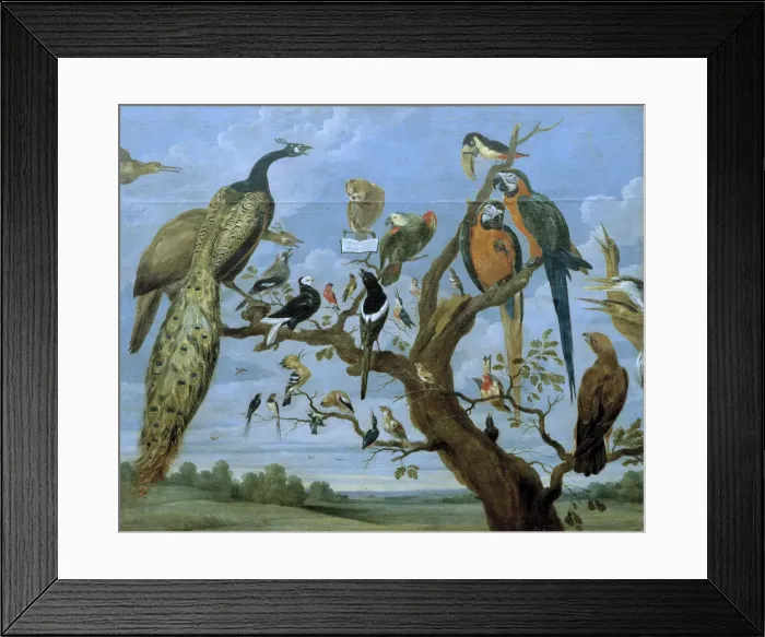 Framed Print : 2686387 Framed Print : 2686387