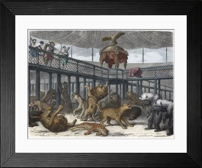 Framed Print : 2686233 Framed Print : 2686233