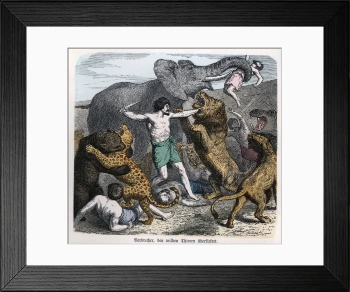 Framed Print : 2686232