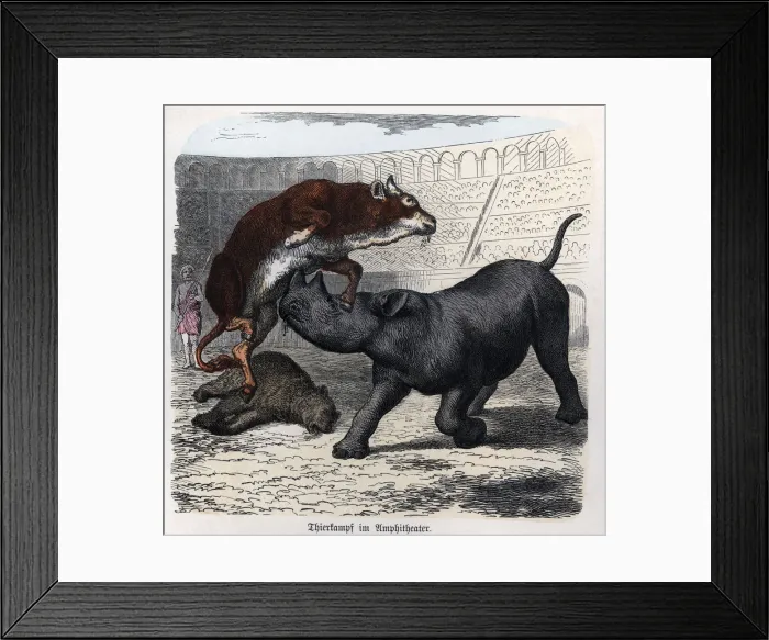 Framed Print : 2686231 Framed Print : 2686231
