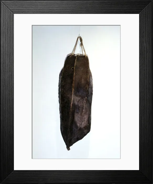 Framed Print : 2686964 Framed Print : 2686964