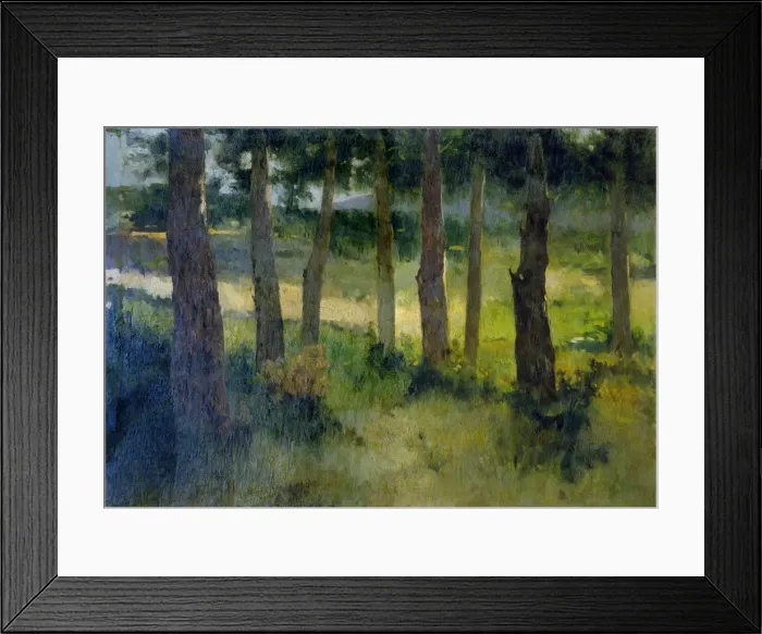 Framed Print : 2687109 Framed Print : 2687109