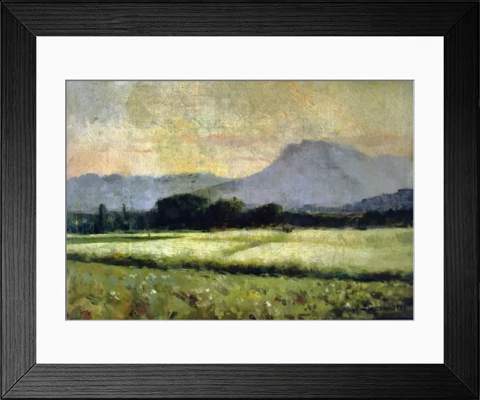 Framed Print : 2687111