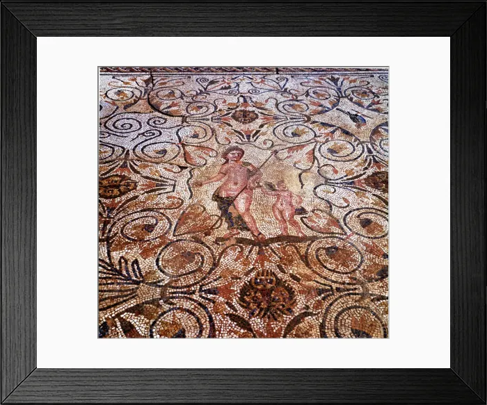 Framed Print : 2687149 Framed Print : 2687149