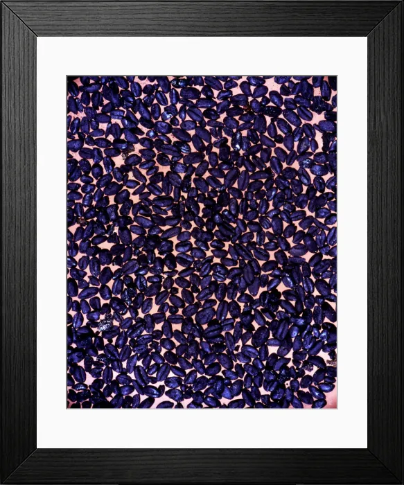 Framed Print : 2687170
