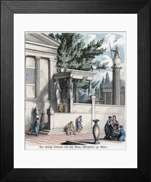 Framed Print : 2687264 Framed Print : 2687264