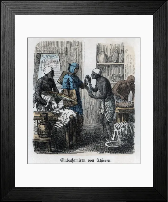 Framed Print : 2687286 Framed Print : 2687286
