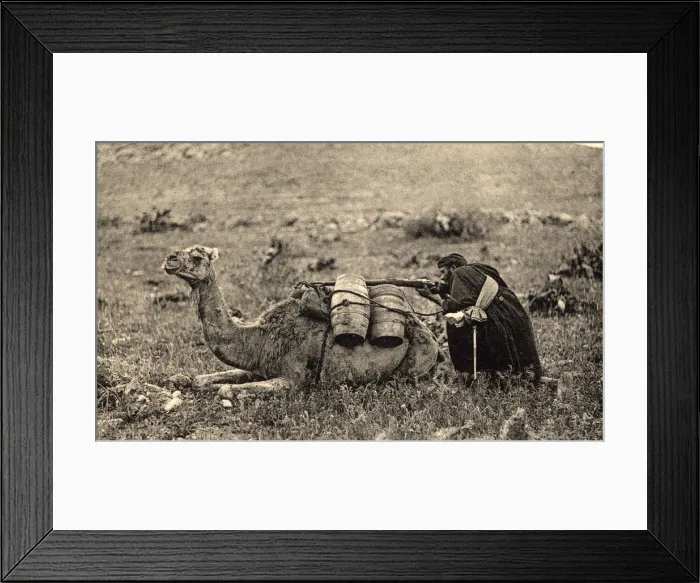 Framed Print : 2687504 Framed Print : 2687504