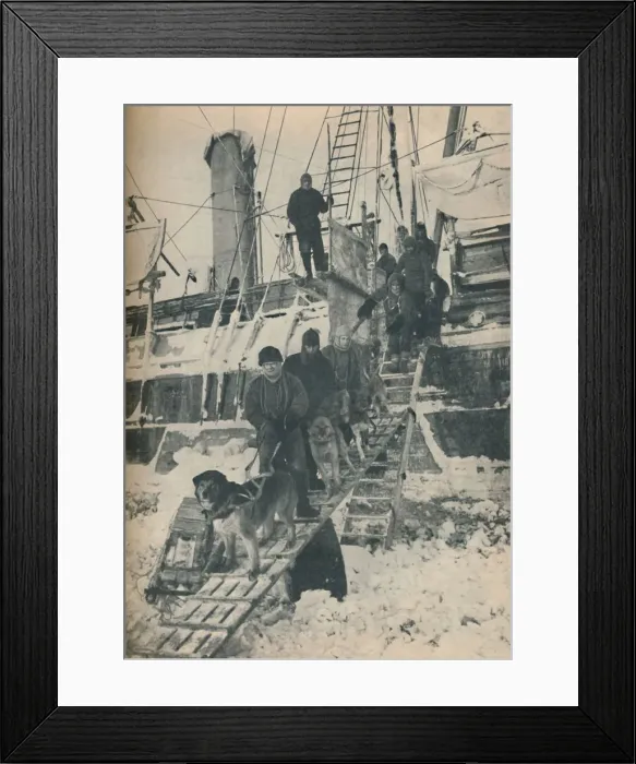 Framed Print : Exercising the Dogs, 1936 Framed Print : Exercising the Dogs, 1936