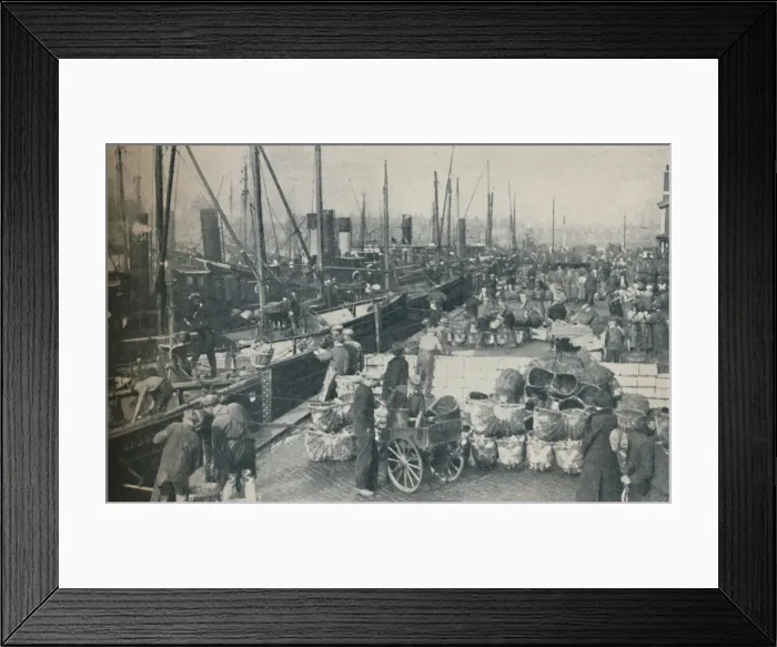 Framed Print : The Herring Season in Full Swing, 1937 Framed Print : The Herring Season in Full Swing, 1937