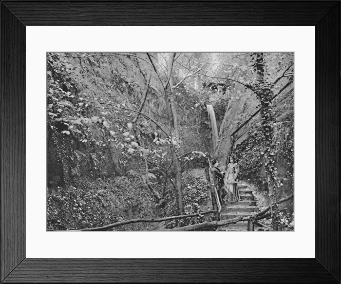 Framed Print : Shanklin Chine, c1896. Artist: FN Broderick Framed Print : Shanklin Chine, c1896. Artist: FN Broderick