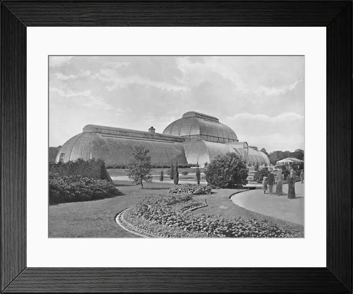 Framed Print : The Great Palm House, Kew Gardens, c1896. Artist: York & Son Framed Print : The Great Palm House, Kew Gardens, c1896. Artist: York & Son