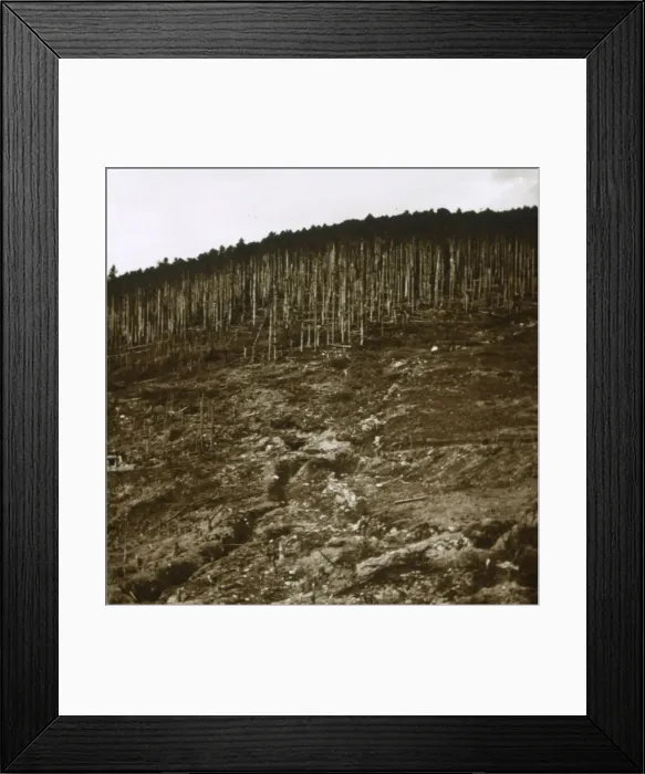 Framed Print : Alsace, c1914-c1918 Framed Print : Alsace, c1914-c1918