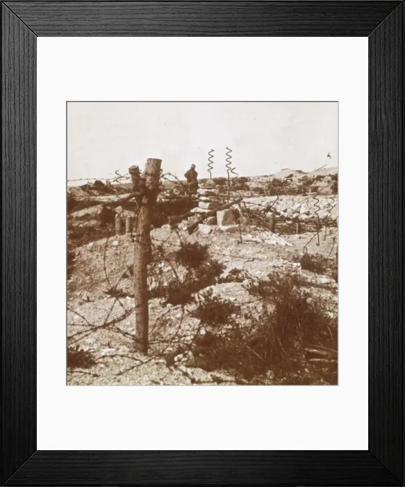 Framed Print : Barbed wire, Craonne, northern France, c1914-c1918 Framed Print : Barbed wire, Craonne, northern France, c1914-c1918