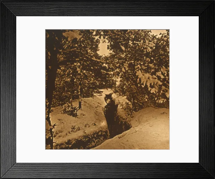 Framed Print : Trenches under fir trees, c1914-c1918 Framed Print : Trenches under fir trees, c1914-c1918